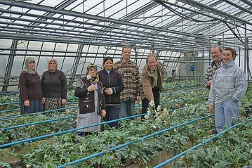 Haben sich ganz den Christrosen verschrieben: Manfred Geywitz (dritter von rechts) und sein Team