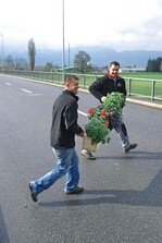 Mit Spaß und Kraft am Werk: Gärtner schmücken die Brücke
