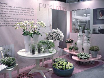 Pure Living, ein romantischer Trend mit Pastellfarben