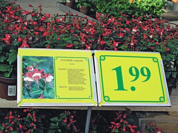 Nicht nur Pflanzen, sondern auch Informationen verkaufen