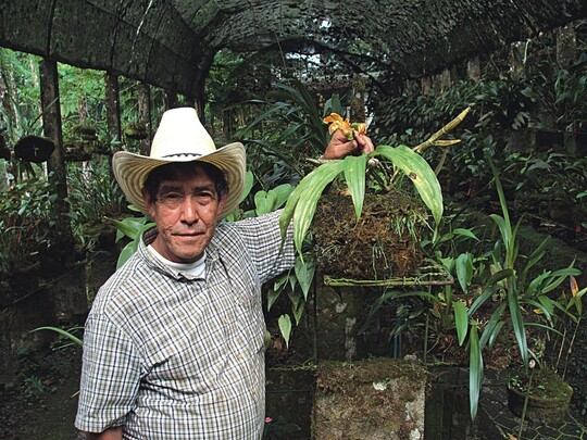 Juan Flores arbeitet seit 26 Jahren in der Grtnerei „Vivero Verapaz“