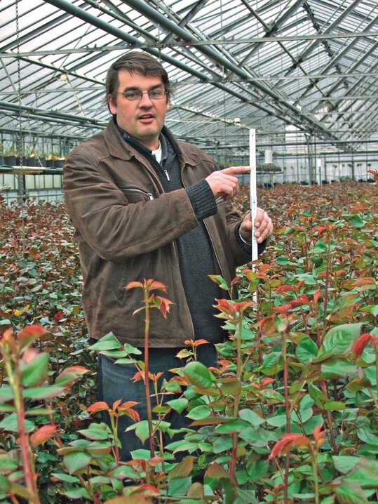 Grtnermeister Thomas Hornung zeigt die Hhe an, die der neue Austrieb der Rosen nach der neuen Schnittmethode haben wird