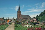 Im Rosenhof Lottum/NL wurde im Juni die „Beste Topf-Rose 2008“ gewähltBild: Rosenhof Lottum