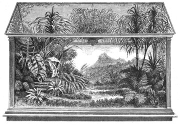 In groen Wardschen Kisten lassen sich ganze Landschaften nachempfinden, wie das Beispiel aus dem Jahr 1861 zeigt