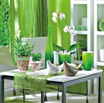 Wirkungsvolle Pflanzenpräsentation und dazu passende Accessoires