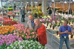 Neben der Technik sind die Schnittblumen ein wichtiges Messefeld