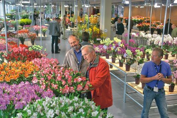 Neben der Technik sind die Schnittblumen ein wichtiges Messefeld