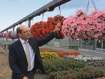 Frank Lolies betonte die Wetterfestigkeit und reiche Blte von Petunia ‘Potunia Pink’
