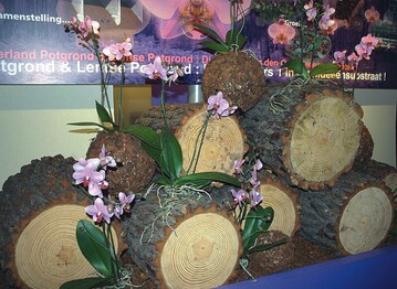 Fr solch schne Orchideen bietet Slingerland Potgrond konzentriert spezielle Orchideensubstrate an. Das Unternehmen hat sich auf Rindensubstrate spezialisiert
