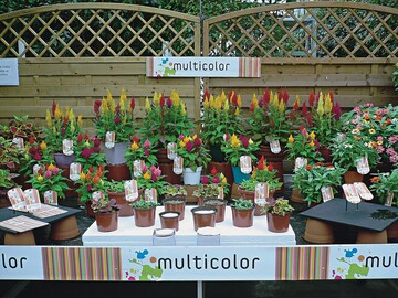 „Multicolor“ spart Zeit und fhrt zu einem innovativen Produkt ...