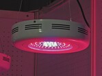 „UFO LED-90W Grow Lighting“ nennt sich diese LED-Leuchte der chinesischen Firma Hang-zhou Welthink Electronic. Sie soll eine 400-W-Natriumdampf-Hochdrucklampe ersetzen. Gleich wie die Namensvettern aus dem Weltall, sind auch diese UFOs von Mysterien umgeben.
