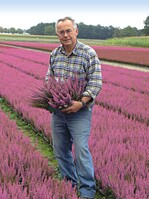 Heinz Manten mit der seiner Meinung nach schönsten Erike ‘Sylvia’