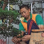 Bonsaimeister Wu Zong Jun beim Schneiden und Drahten von großen Bonsai für Landschaftsgärten Bilder: Orlamünde