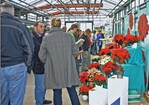 Bereichernd auf dem Poinsettientag in Stuttgart: Gespräche mit Jungpflanzenlieferanten, Züchtern und Kollegen im Verbinder