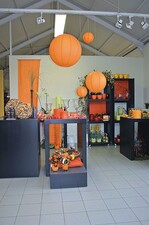 Die kubischen neuen Ladenträger („Pulsar“ von SML Design)