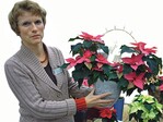 Beate ter Hell präsentierte Besonderheiten wie diese floristisch aufbereitete Poinsettien-Sichel für Leute, die ein extravagantes Produkt suchen
