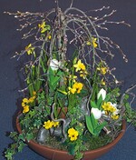 Das Hochstämmchen blieb in seinem Topf, neben dieser originellen Idee überzeugte die sorgfältige Ausführung