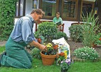 Gartenpflege und Kübelbepflanzung zählen zum breit gefächerten Bereich der gärtnerischen Dienstleistungen