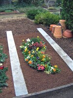 Ausgepflanzt geben die Schalenpflanzen ein ganz neues Bild