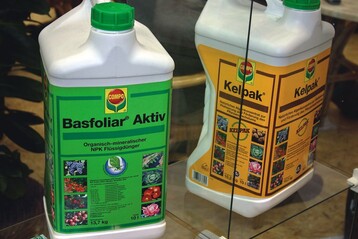 „Basfoliar Aktiv“ und „Kelpak“ sind zwei neue Dngerformulierungen von Compo aus dem Extrakt der Braunalge