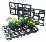 Mittlerweile sind über 27 Mio. Palettinos im Umlauf