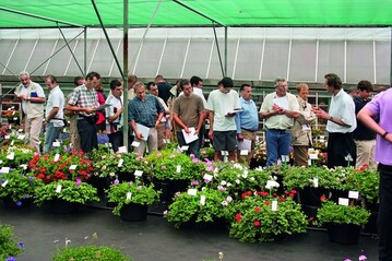 Geht es gemeinsam besser? Motiv von den Flower Trials bei Florensis