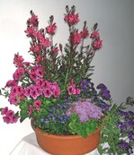 Die Blütenpracht in leuchtenden Farben bringt Frische auf das Grab