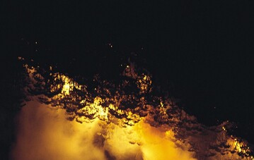 Bereits bis in die Baumkronen gelangter Starkbrand in einem Eukalyptus-Wald im Blue Mountain National Park bei Hazelbrook