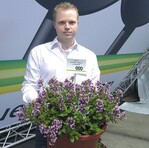 Bild rechts: In sieben Farben ist die neue großblütige und durchblühende Cuphea-Serie „Vienco“ erhältlich, hier Jan Grünewald mit ‘Vienco Lavender’