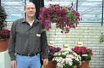 Hans de Does mit Calibrachoa ‘Callita Giga Magenta’ (oben) und den „Inticancha“Alstromerien