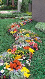 Dreistelliges Wahlgrab mit bunter Sommerbepflanzung, in der Euphorbia/Chamaesyce für Leichtigkeit sorgt. Bodendecker ist Cotoneaster, den Rahmen bildet Euoymus fortunei ‘Emerald Gaiety’, Arbeit von Herrig, Blumenhaus Schamp, Berlin