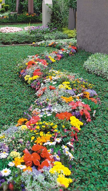 Dreistelliges Wahlgrab mit bunter Sommerbepflanzung, in der Euphorbia/Chamaesyce fr Leichtigkeit sorgt. Bodendecker ist Cotoneaster, den Rahmen bildet Euoymus fortunei ‘Emerald Gaiety’, Arbeit von Herrig, Blumenhaus Schamp, Berlin