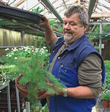 Dieter Stegmeier mit Pelargonium bowkeri, einer Pelargonie, die Zierspargel verblffend hnlich sieht