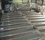 1	Die Sortieranlage bei Griffioen ist eine Sonderanfertigung