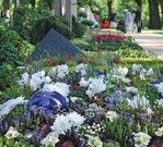 1 Blau-Weiß mit Kugeln, gefransten Cyclamen, Chrysanthemen, Enzian und Salbei als blühende Elemente – so bepflanzte Thomas Seppelfricke, Gelsenkirchen, das Herbstbeet auf dem zweistelligen Wettbewerbsgrab