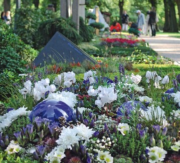 1	Blau-Wei mit Kugeln, gefransten Cyclamen, Chrysanthemen, Enzian und Salbei als blhende Elemente  so bepflanzte Thomas Seppelfricke, Gelsenkirchen, das Herbstbeet auf dem zweistelligen Wettbewerbsgrab