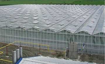Die Erdwrmeleistung von 2 MW reicht fr eine 1,4 ha groe Gewchshausanlage