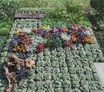 Carola Eckermann errang mit dieser Arbeit einen von zwei dritten Plätzen