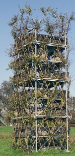 Auf dem Gelände „Neue Kunst am Ried“ erhebt sich der fast 9 m hohe Silberweidenturm