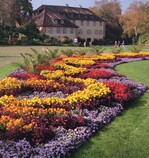 Viele Menschen wollen wieder mehr mit natürlichem Grün und mit Blumen und Pflanzen in der Nähe leben (Motiv: Insel Mainau)