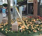 Hibiskusträume der Gärtnerei Hawaii Hibiscus