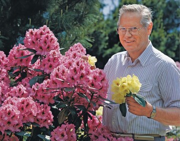 Linke Seite: Genauso hatte Hans Hachmann seine Rhododendron ertrumt