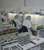 Links: Labor in Brasilien