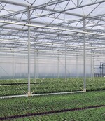 Diffuses Licht mit wenig harten Schatten ist typisch für Eindeckungen aus Folie