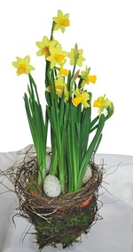 Narzissen im Topf – eine klassische Osterarbeit, die sich mit geringem Aufwand fertigen lässt