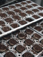 Substrate, Töpfe und Trays gehören zu den wichtigsten Betriebsmitteln in der Produktion