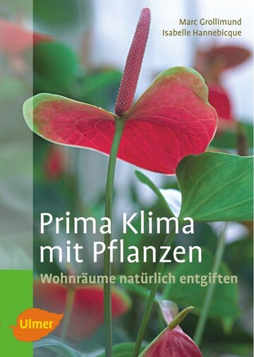 Gesnder und motivierter mit Pflanzen