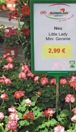 Wer Neuheiten überzeugend herausstellt, kann auch höhere Preise verlangen