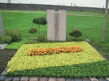 Schaugrab mit Euonymus und Buxus als Bodendecker