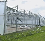 Vermutlich ein Tornado zerstörte dieses Folienhaus